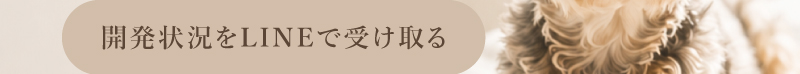 NOKOSU DAYS