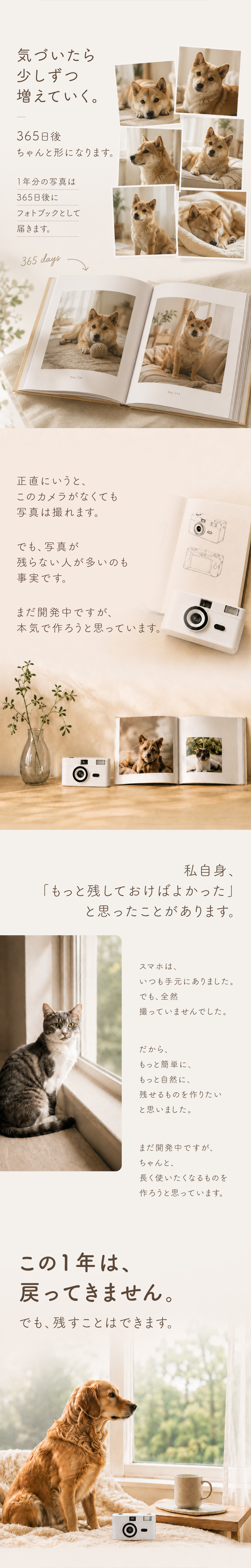 NOKOSU DAYS